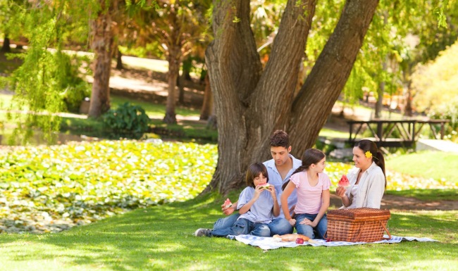 family of four picnics under a large tree in the park